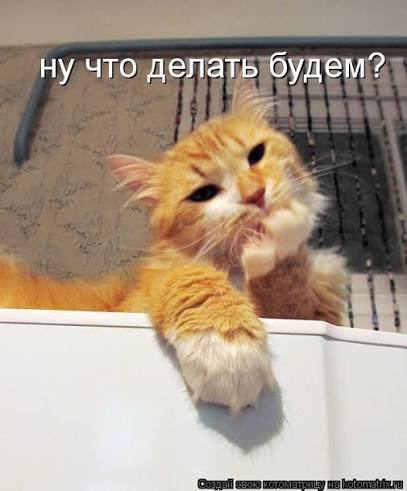 694830eb9a7ed_images(9).jpeg.dd00e848629ce167f15f03a370682cad.jpeg